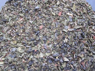 Moroccan Mint Green Tea Blend - 2 oz - Click Image to Close